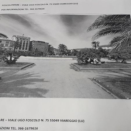 Casa Vacanze Foscolomare 366Uno6796Uno6 Apartman Viareggio Kültér fotó